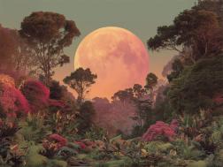 Pink Moon